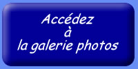 Découvrez la galerie photos du Centre Cheval Poney