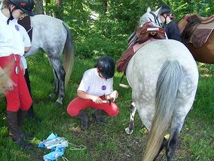 Lys-Lou Cauchois referrant son cheval en plein parcours d'orientation du Trec Départemental