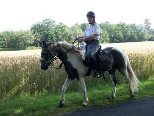 Photo d'un cheval qui passe son chemin pendant le TREC