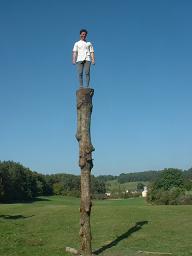 C'est pas Benito Juarez sur son tronc, mais il pourrait chanter comme le coq celui-là